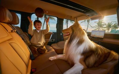 Un jeune garçon joue au ballon avec son chien colley à l'intérieur d'un véhicule spacieux équipé de la technologie iCAUR.
